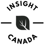 New Insight Logo Black-4
